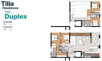 Empire City Tilia dup 2ca